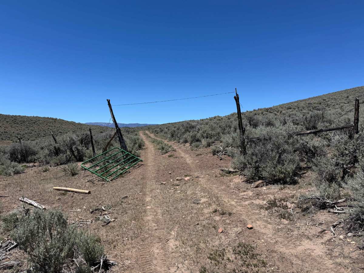 BLM 8486 photo 3