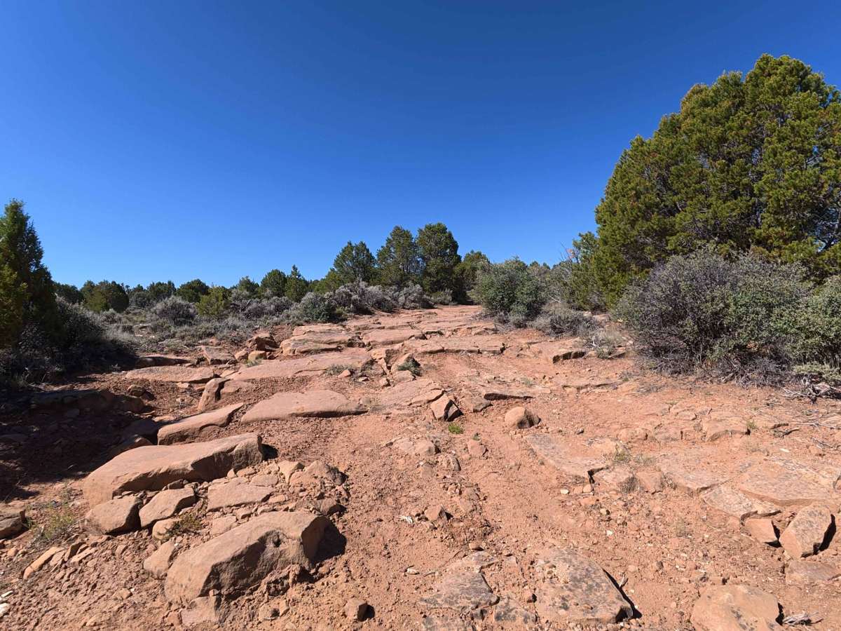 8 Road trail photo