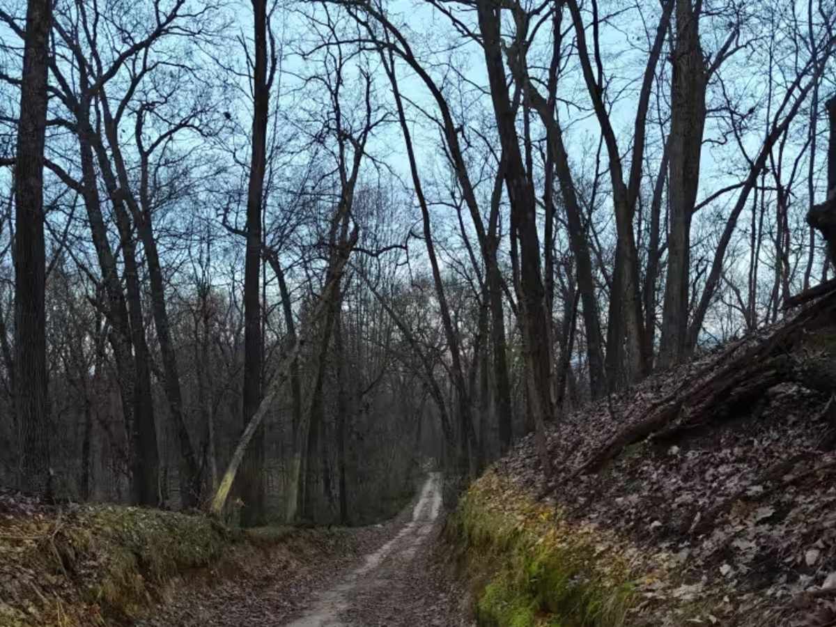 Hart Trail trail photo