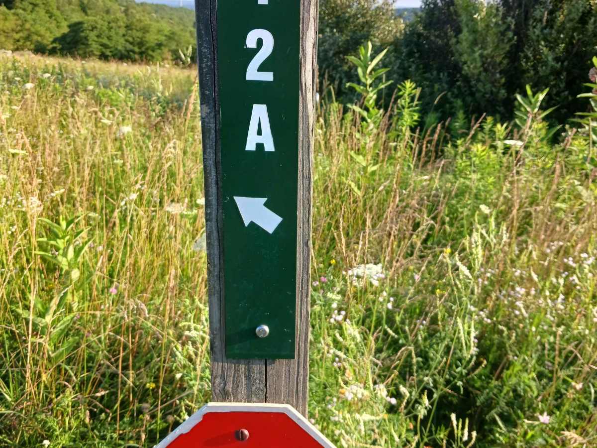 Trail 12A - Rock Run Recreation trail photo