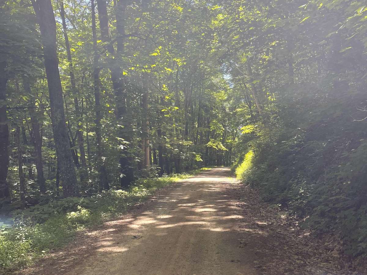 Homestead Road  photo 2