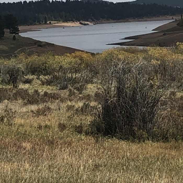 Near Rainbow Gulch Trail #714