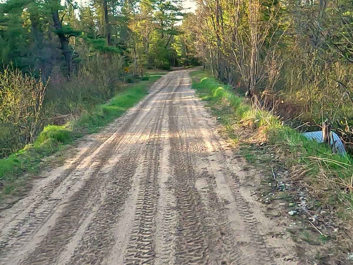 N Wide Waters Road North - Wilderness Road trail photo