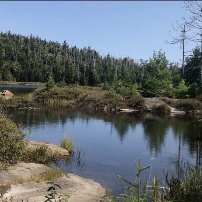 Near Crane Mountain Path