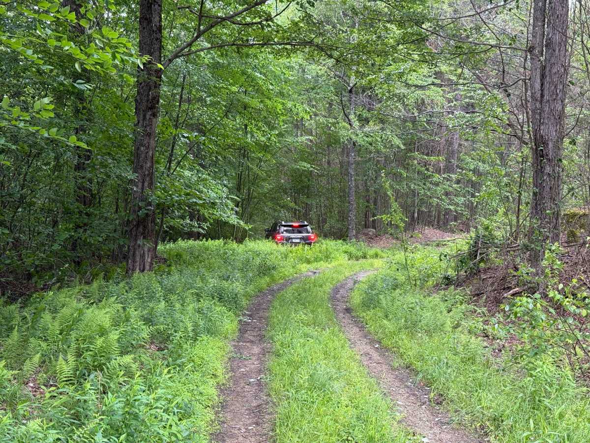 JCRAIG Adventure Trail photo 5