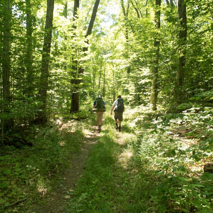 Backpacking on North Manitou Island. Near Northern Loop