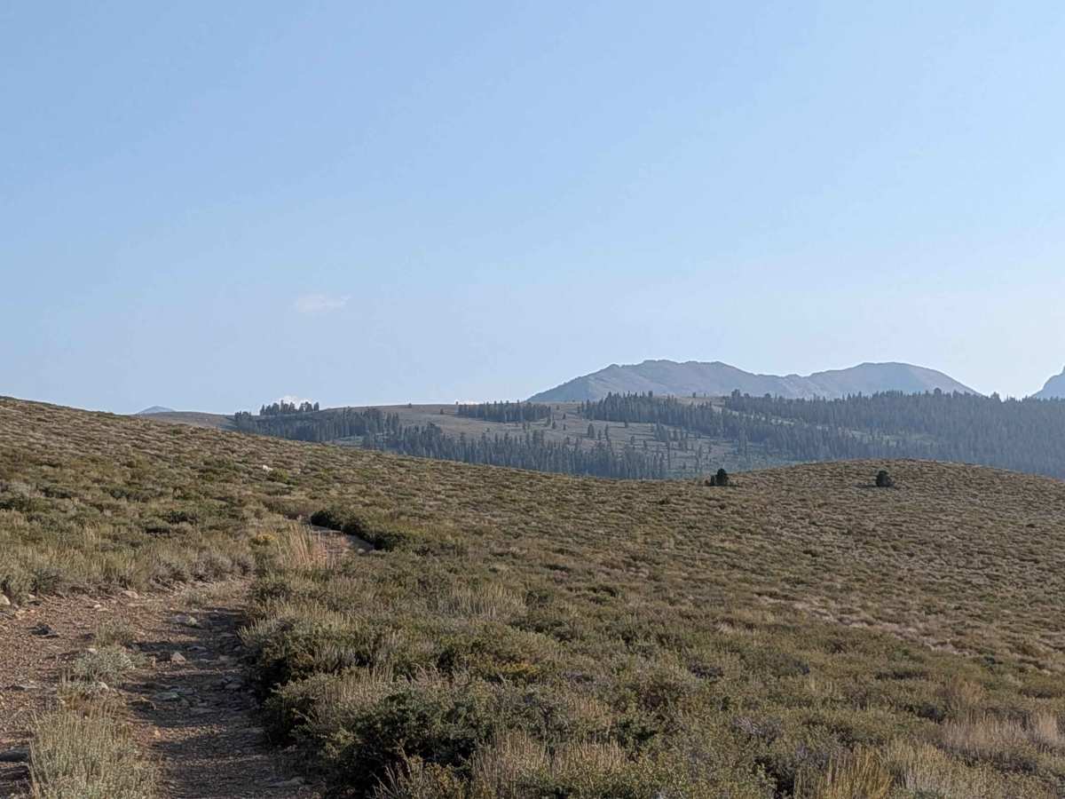Dog Creek Valley photo 3