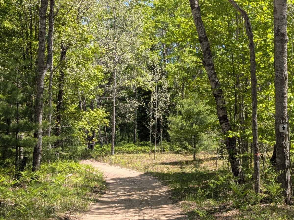 North Misaukee Route (section 6) photo 5