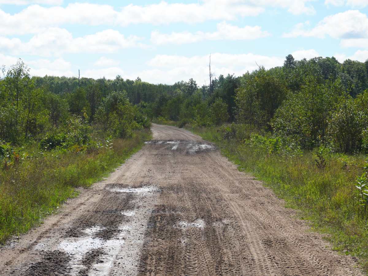 East Grass Lake Road photo 6