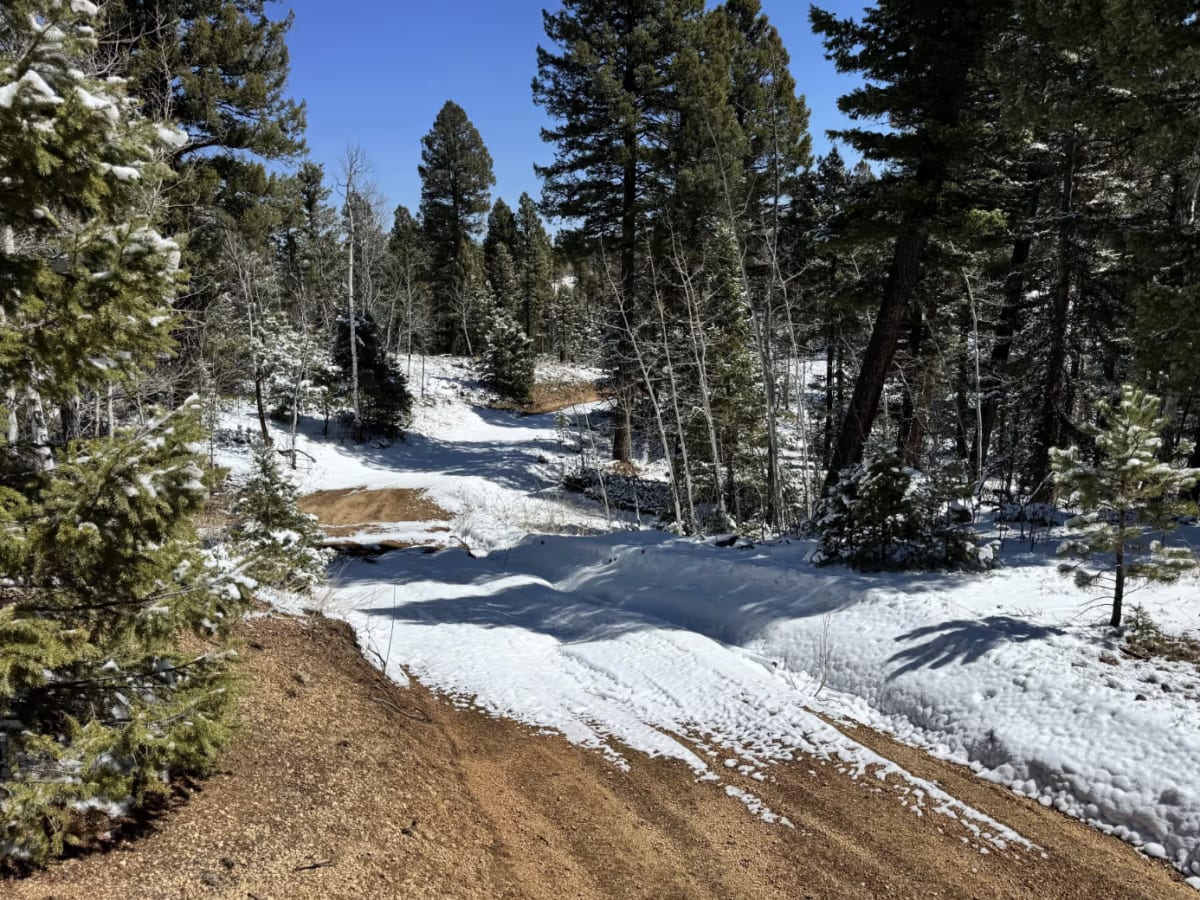 Cedar Cut 3 Road - FS 359 photo 5