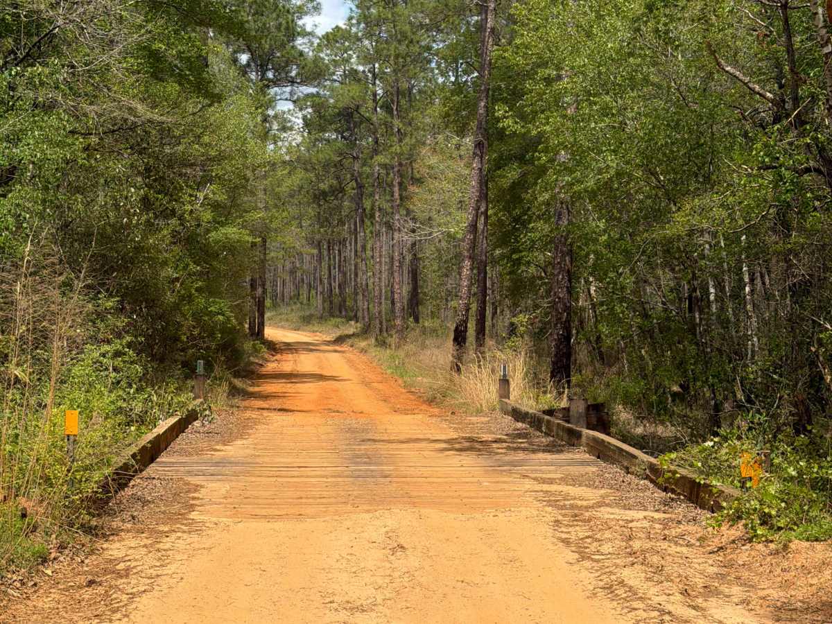 Bullard Church Road trail photo