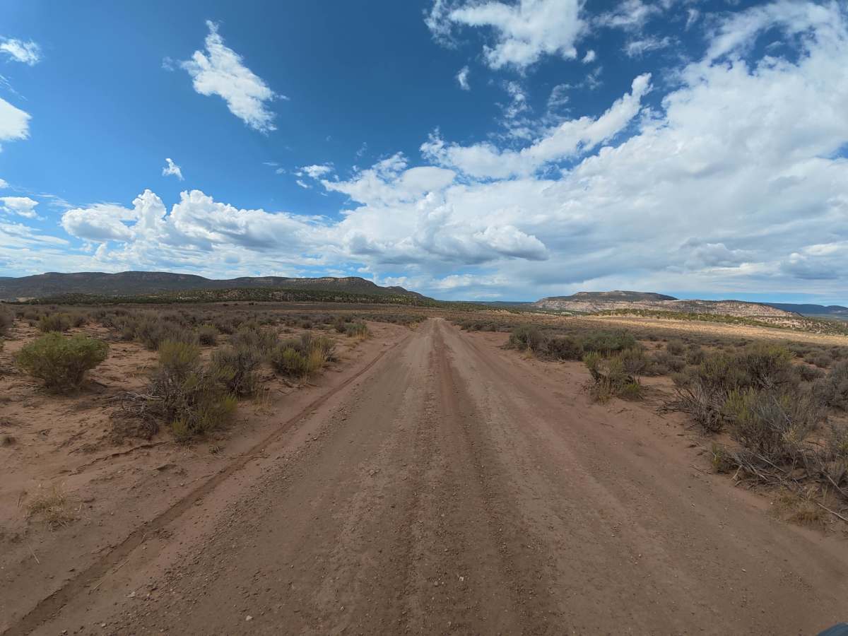 Cactus Park Road trail photo