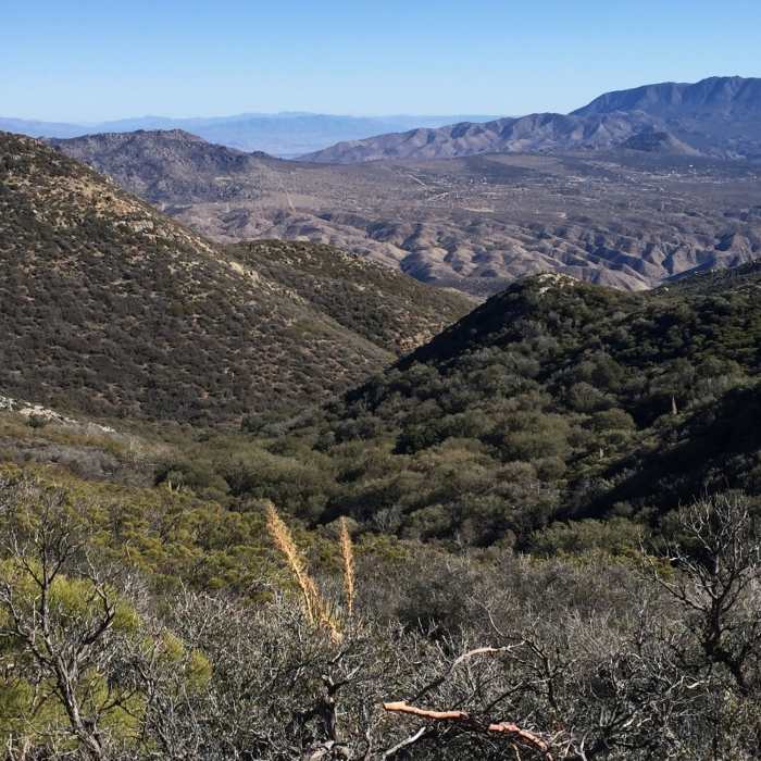 Near Gold Shot Stamp Mill Out and Back