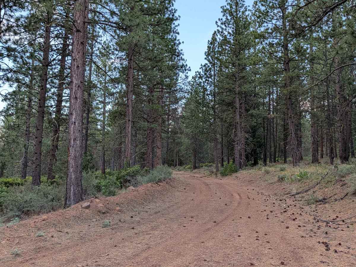 Three Sisters - FS 45N03 trail photo