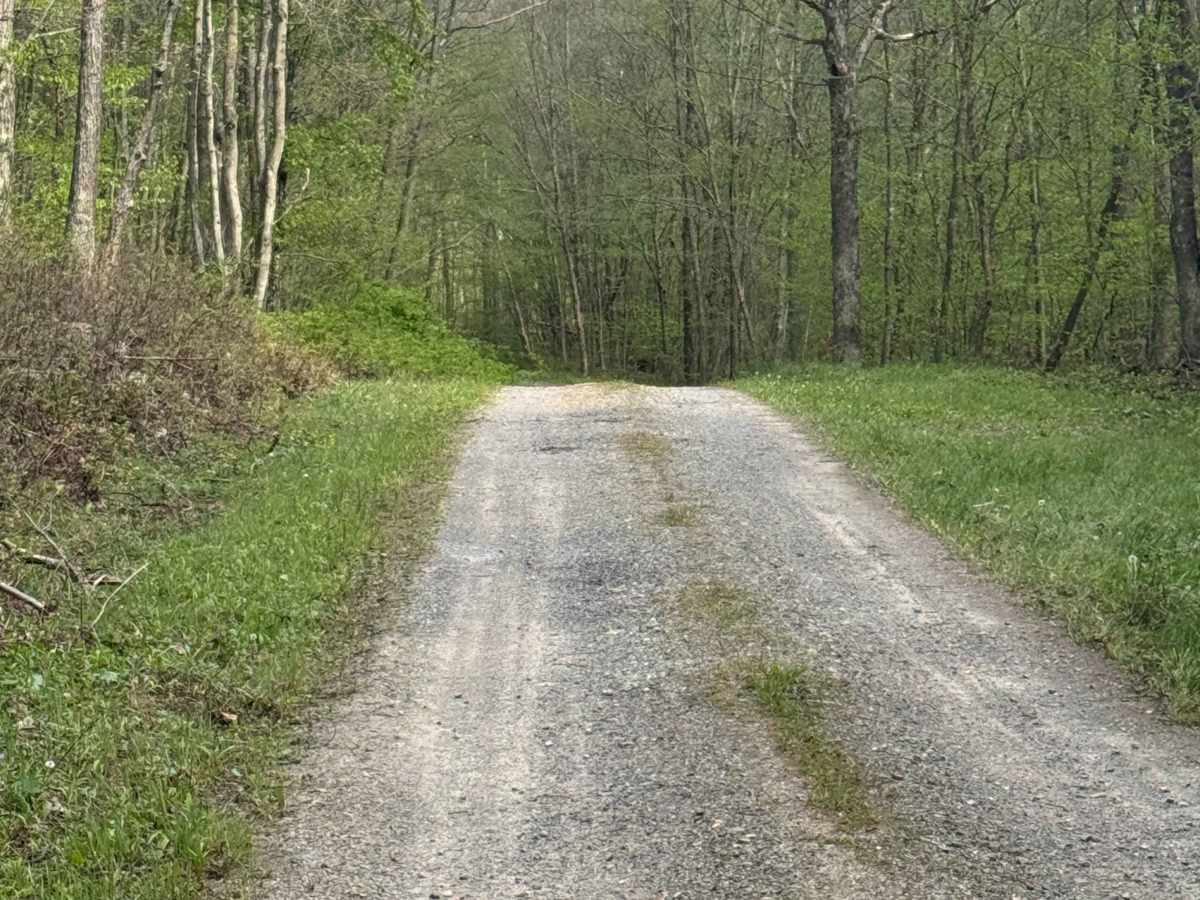Reservoir Road photo 2