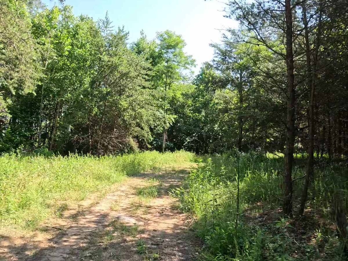 Q12A trail photo
