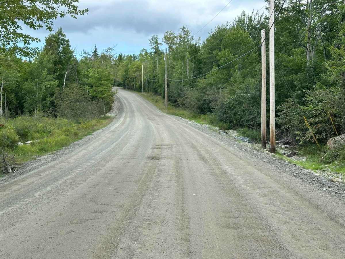 Nicolin Road trail photo