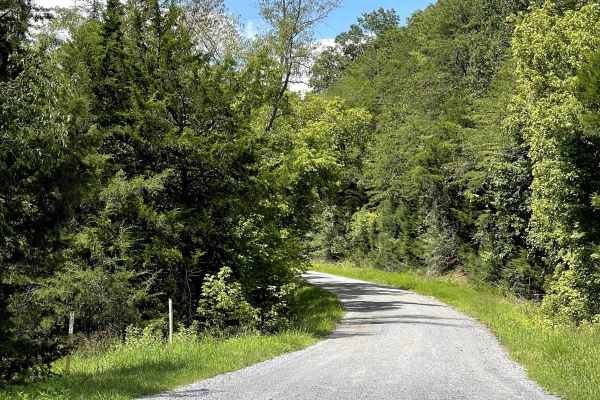 Route 818