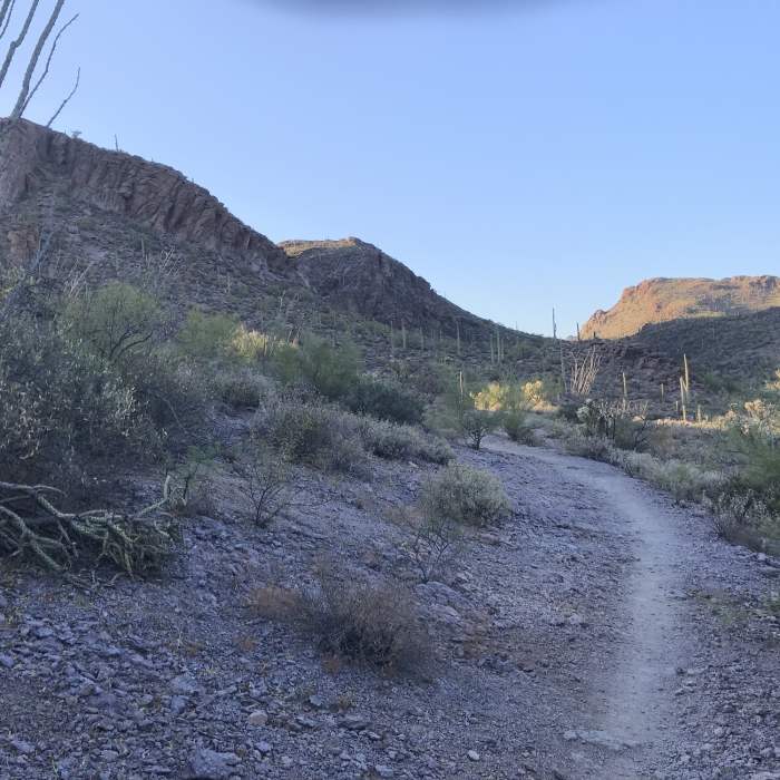 Near Explorer Trail