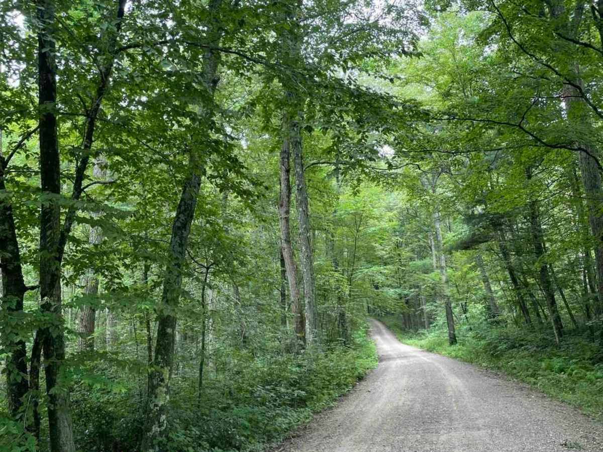 Old Country Road photo 6