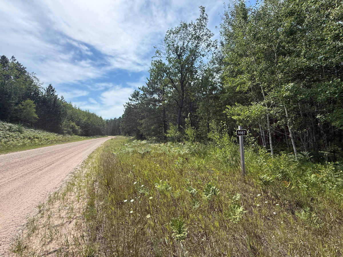 Stoddard Lake Road - FS 9987 photo 3