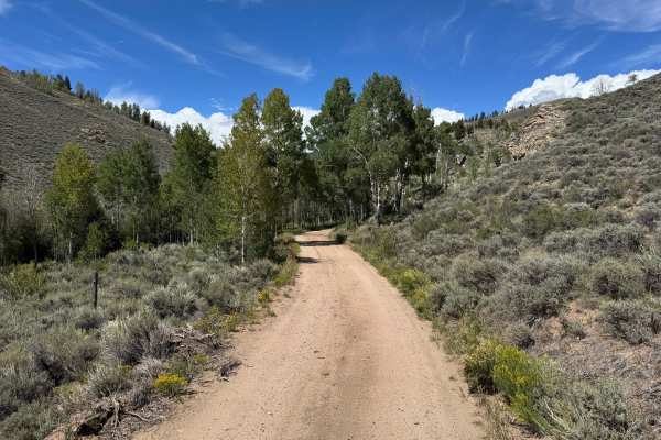 Willow Creek Road