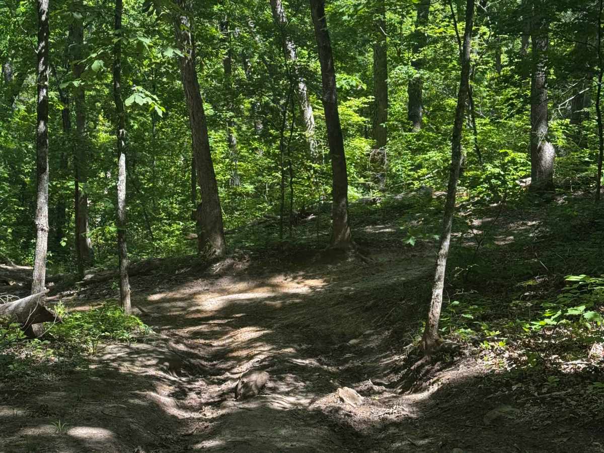 Inner Cut 70 trail photo