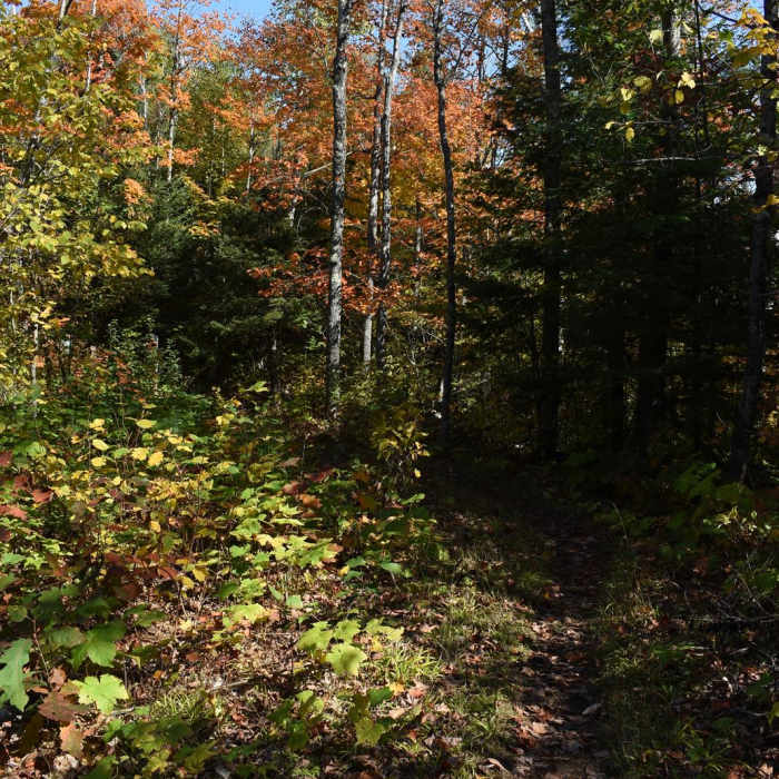 Near Nicada Lake Hike Near Nicada Lake Hike