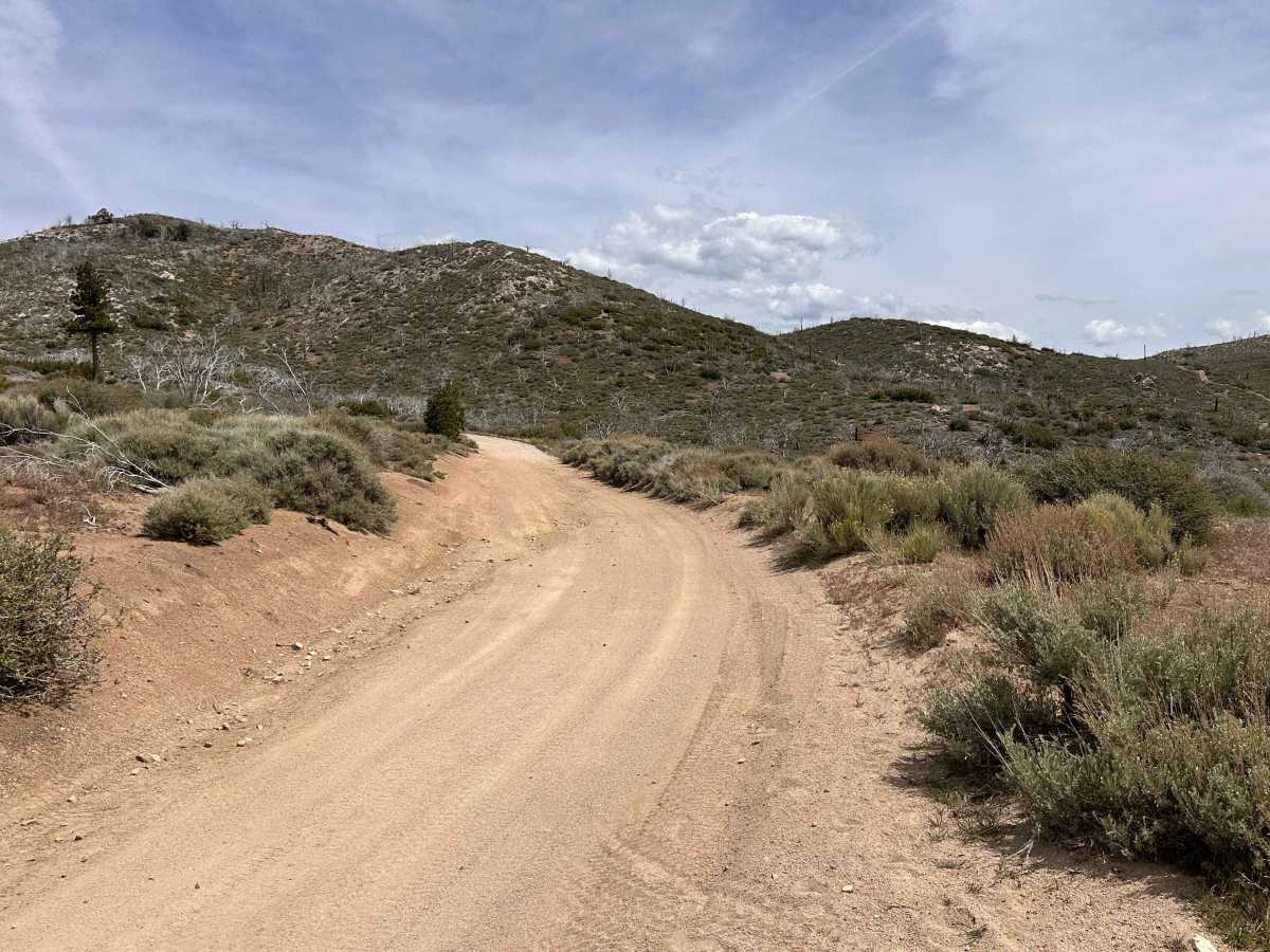 Prospector's Cutoff photo 3