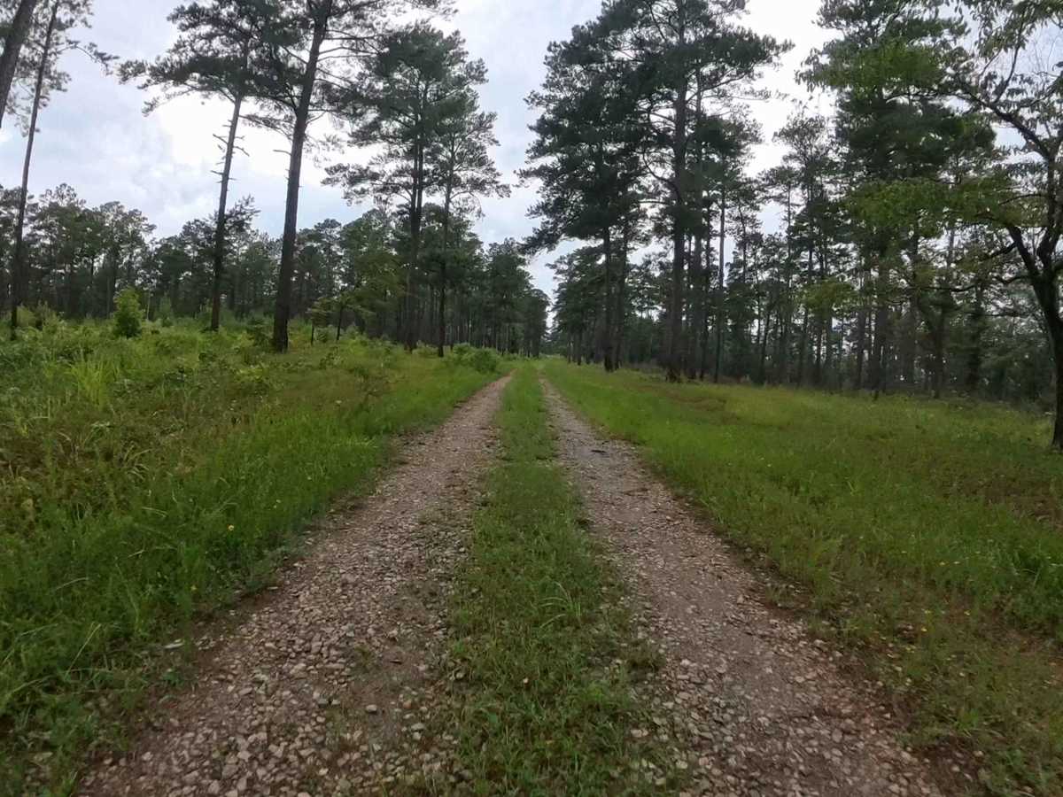 Chehaw - FS 1022 photo 4