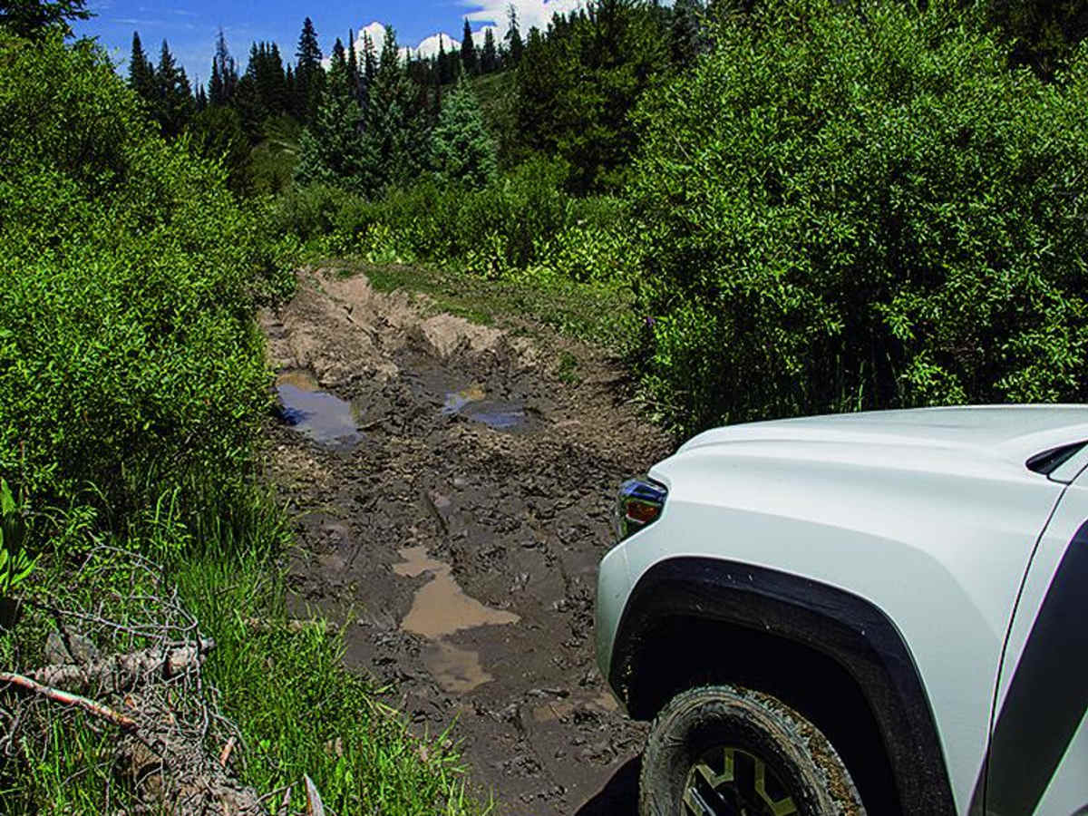 Beaver Creek, Muddy Creek photo 3