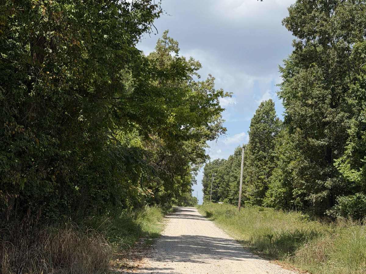 County Road 114 trail photo