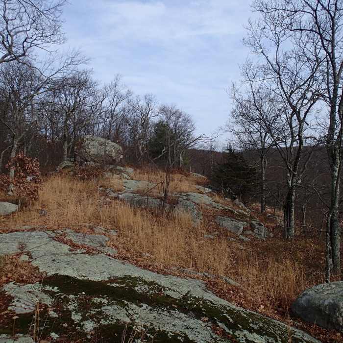 Bearfort Waters Clinton Trail Near Buckabear Pond Loop via Bearfort Waters - Clinton Trail