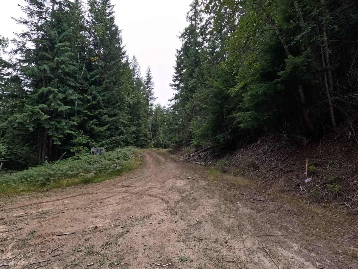 Consalus Creek Road - FS 1108 trail photo