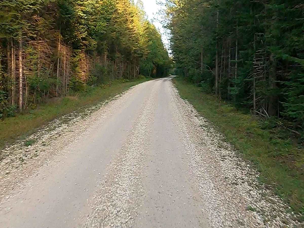 West Bow - FS 3129 photo 6