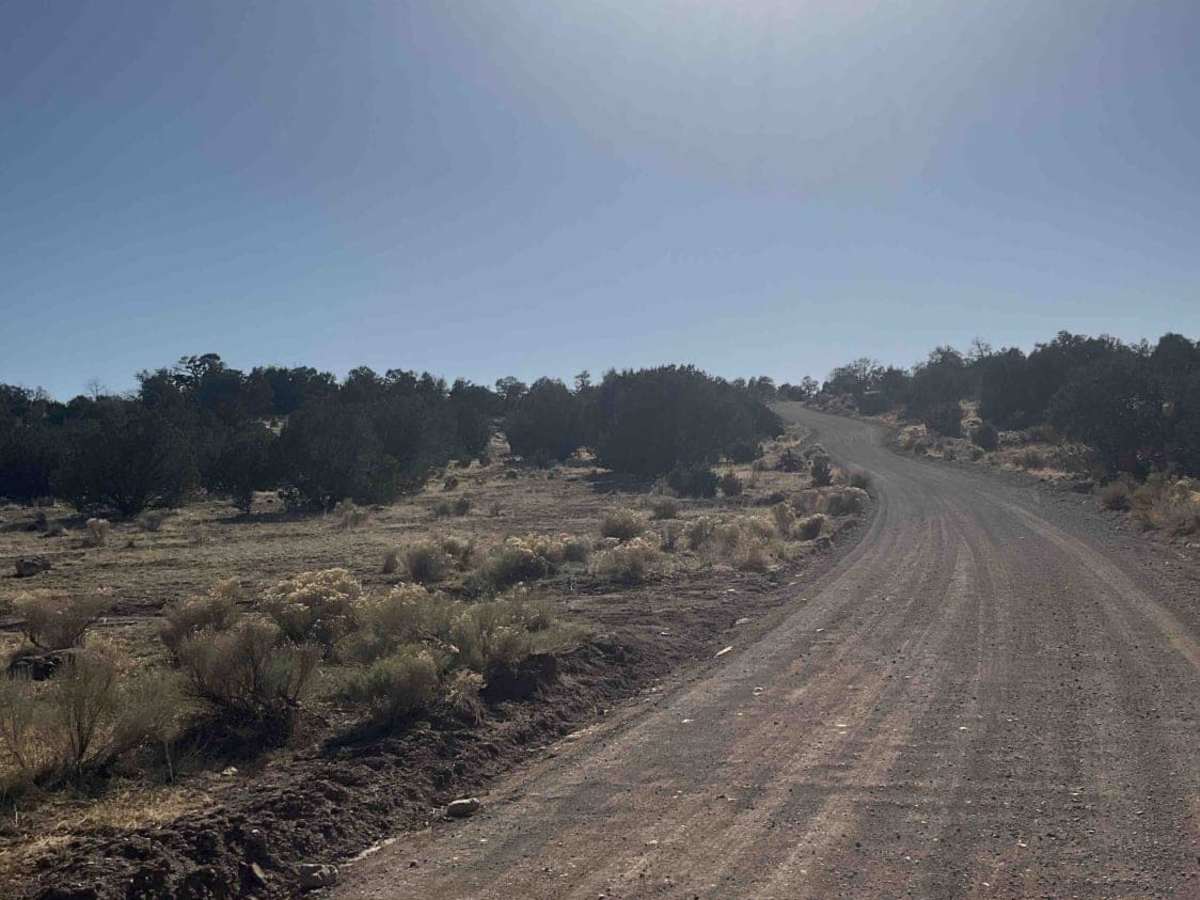 Marshall Lake Road trail photo
