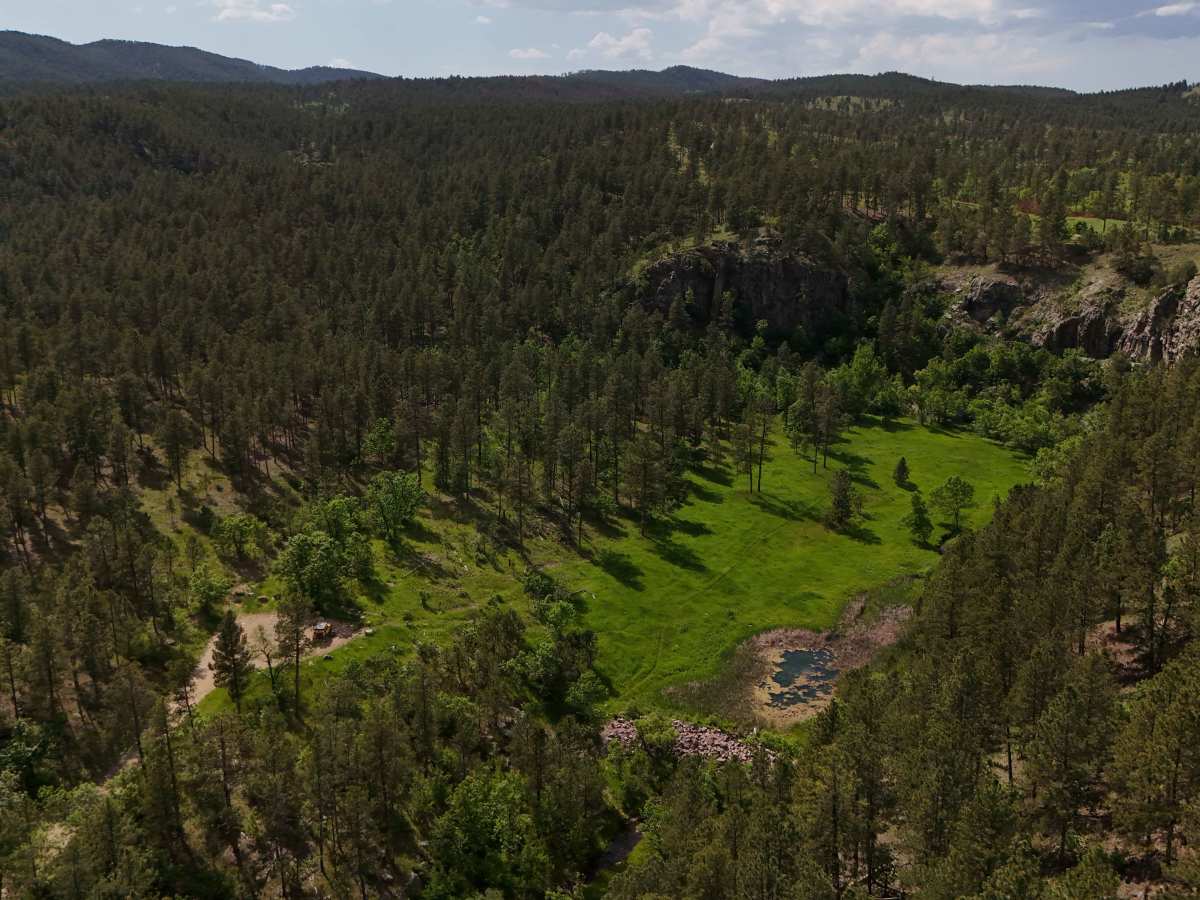 Victoria Lake Dam - FS 6704 photo 6