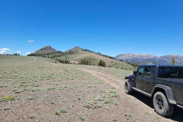 Pickett Peak Road 31053