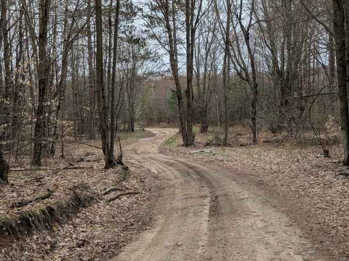 Riske Road photo 2