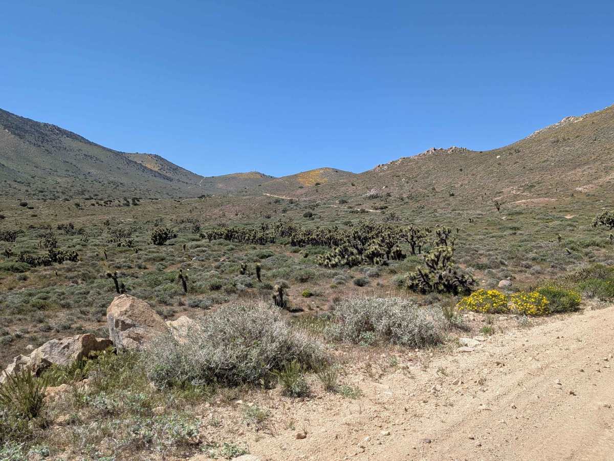 Bird Spring Canyon Road East BLM 120 photo 3