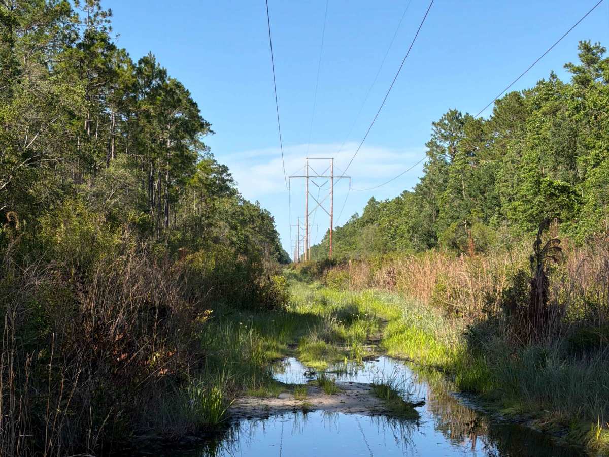 Powerline - FS 341A photo 3
