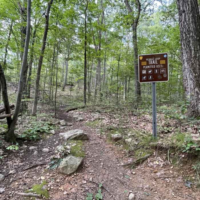 Near Pebble Trail Loop Near Pebble Trail Loop