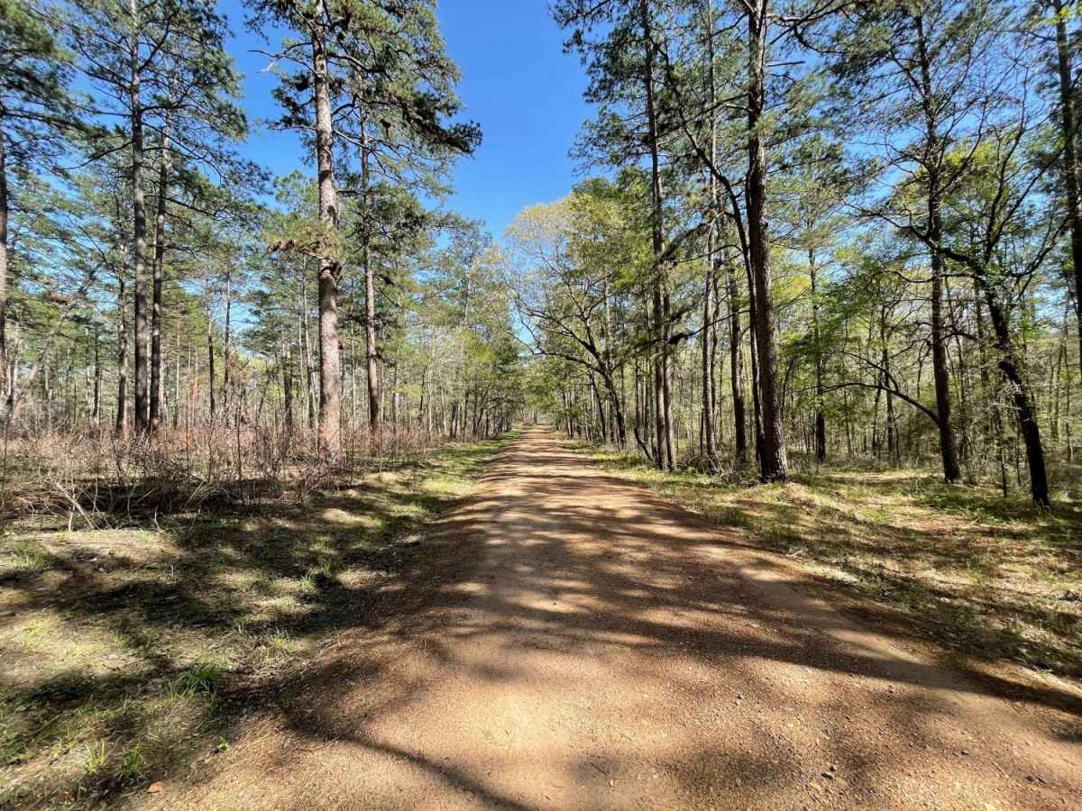Big Woods photo 3