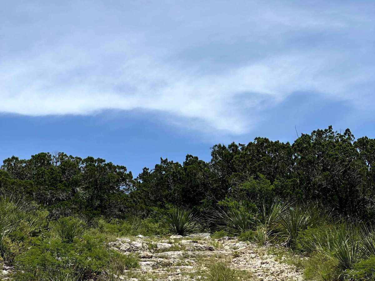 Tower Trail photo 5