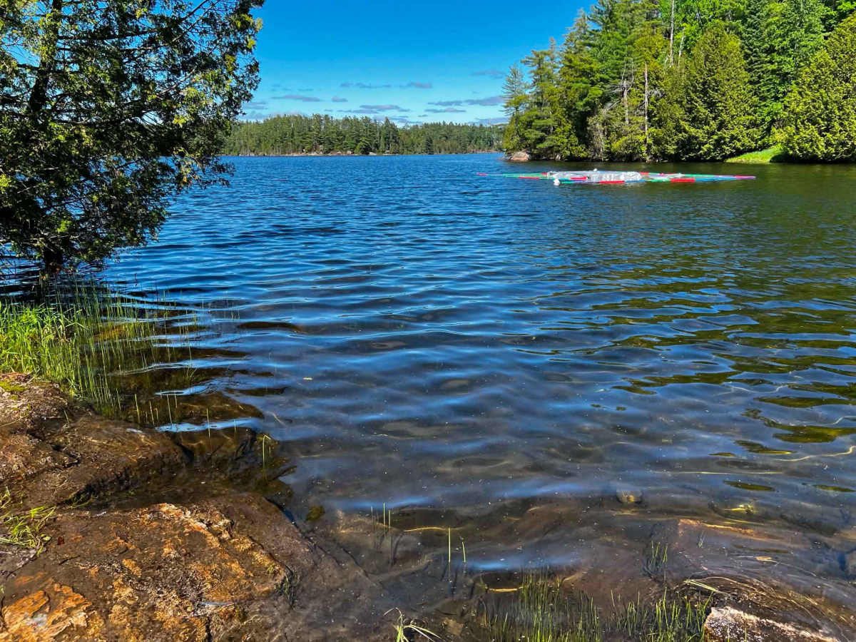 Picard Lake trail photo