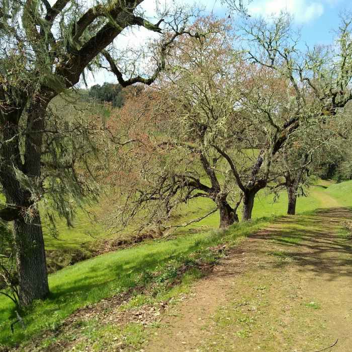 Near Snell Barn Loop