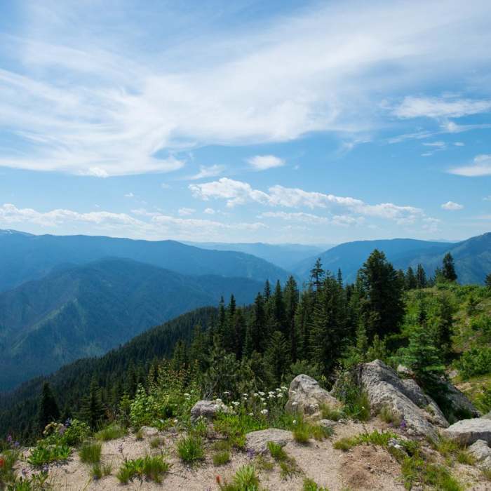 Near Shissler Peak Fire Tower