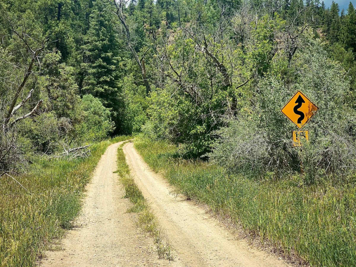 Devil Creek Wildlife Management Area-Fr Rd 627 photo 6