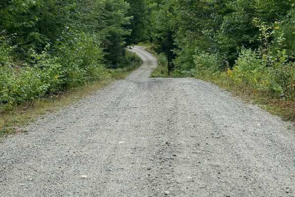 Branch Lake Forest Access Road