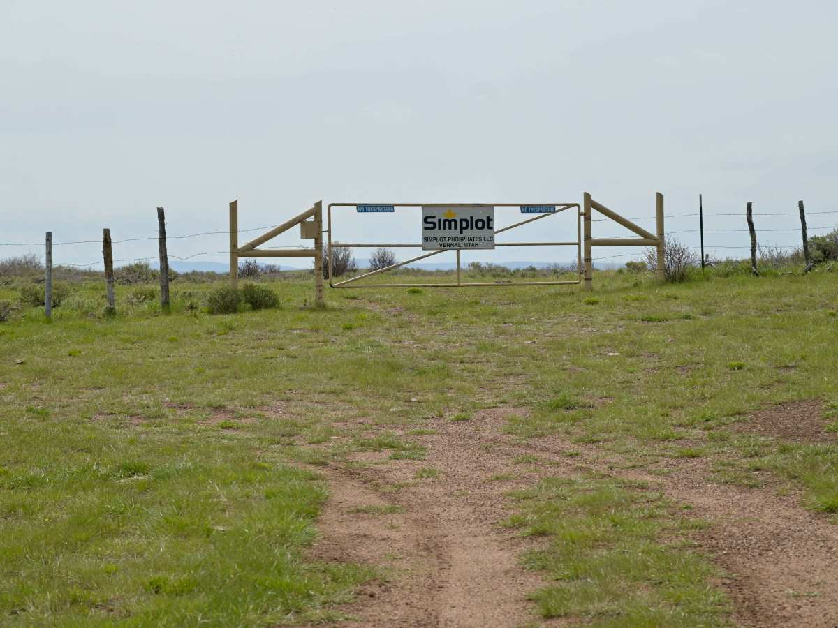 Barker Spring Loop - FS 10050 photo 6